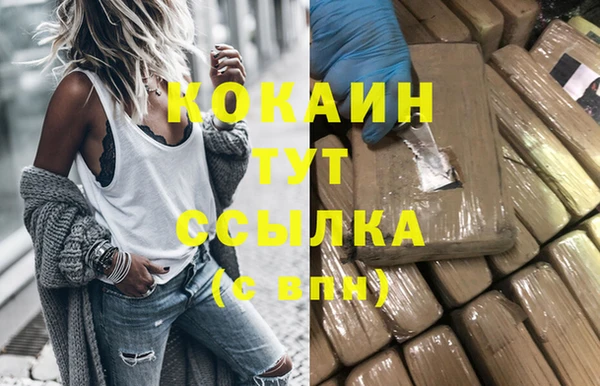 прущие грибы Белокуриха