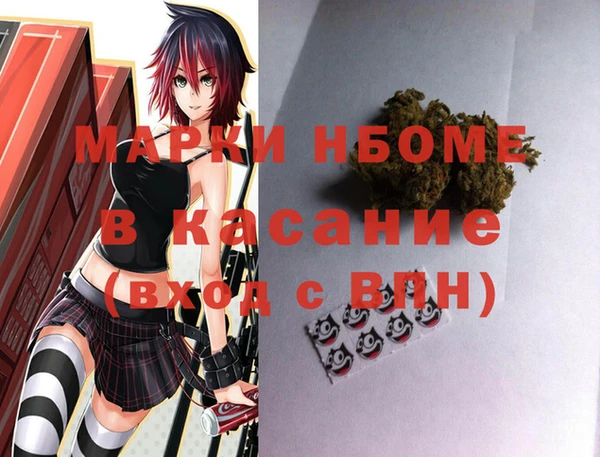 прущие грибы Белокуриха