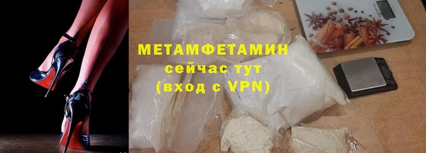 прущие грибы Белокуриха