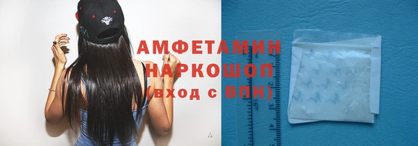 прущие грибы Белокуриха