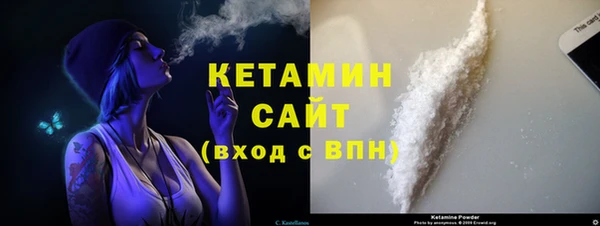 прущие грибы Белокуриха