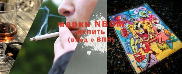 прущие грибы Белокуриха