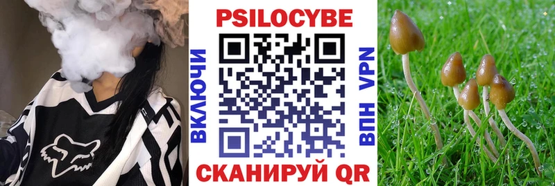 Галлюциногенные грибы Psilocybe  цены наркотик  KRAKEN зеркало  Вольск 
